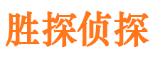 上林找人公司